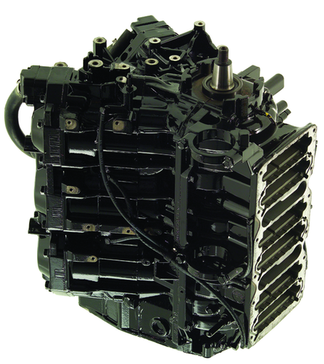 [804800R00] Powerhead 250 EFI RM (804800R00)